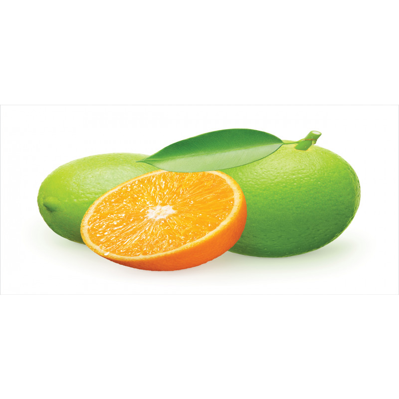 Lime Orange Design Pencil Pen Holder