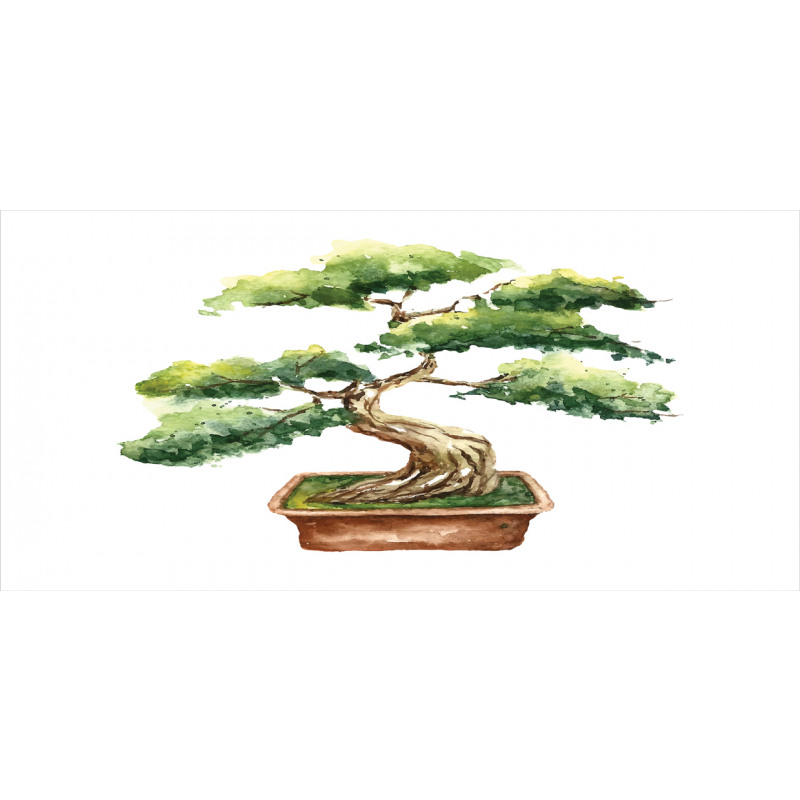 Watercolor Bonsai Hand Drawn Pencil Pen Holder