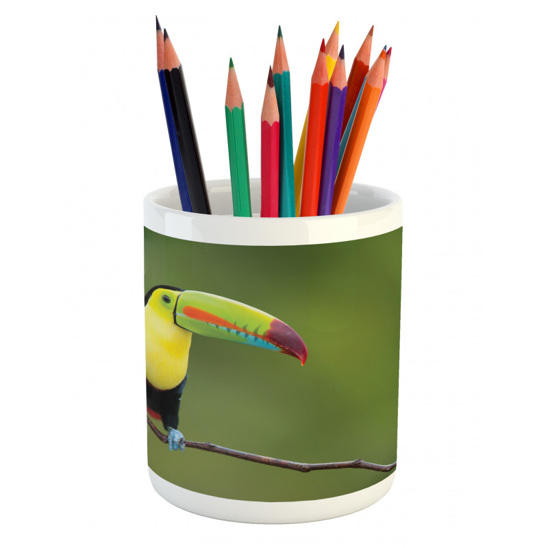 Keel Billed Toucan Pencil Pen Holder