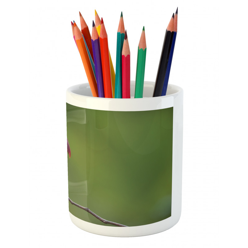 Keel Billed Toucan Pencil Pen Holder