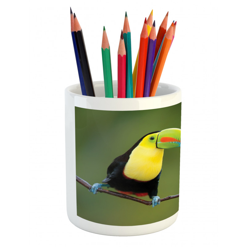 Keel Billed Toucan Pencil Pen Holder