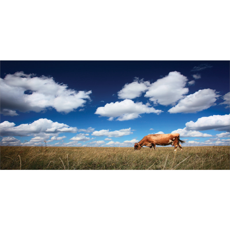 Cow Meadow Sky Clouds Pencil Pen Holder