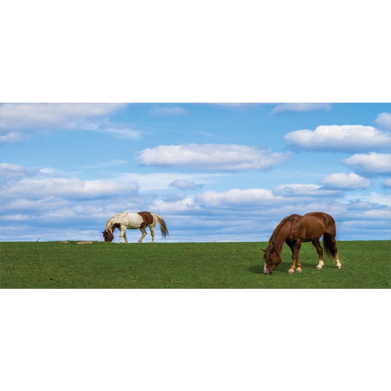 Horses Grazing Meadow Pencil Pen Holder