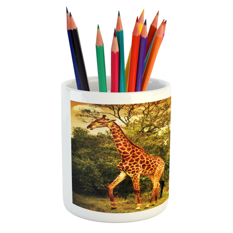 Safari Animals Pencil Pen Holder