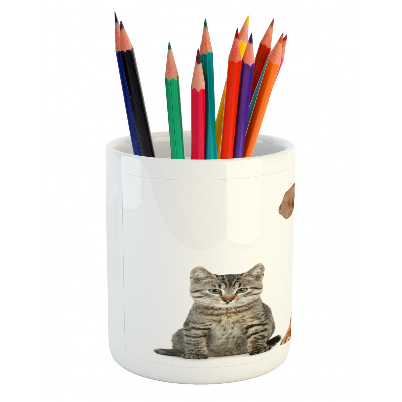 Cat Dog Animal Friends Pencil Pen Holder