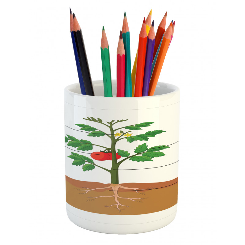 Parts of a Tomato Plant Pencil Pen Holder