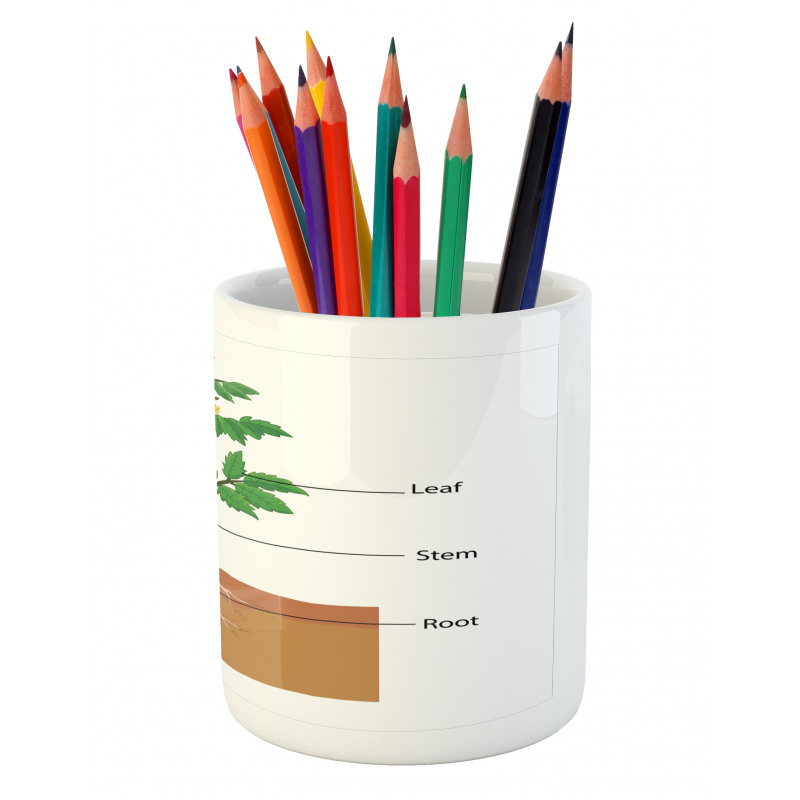 Parts of a Tomato Plant Pencil Pen Holder