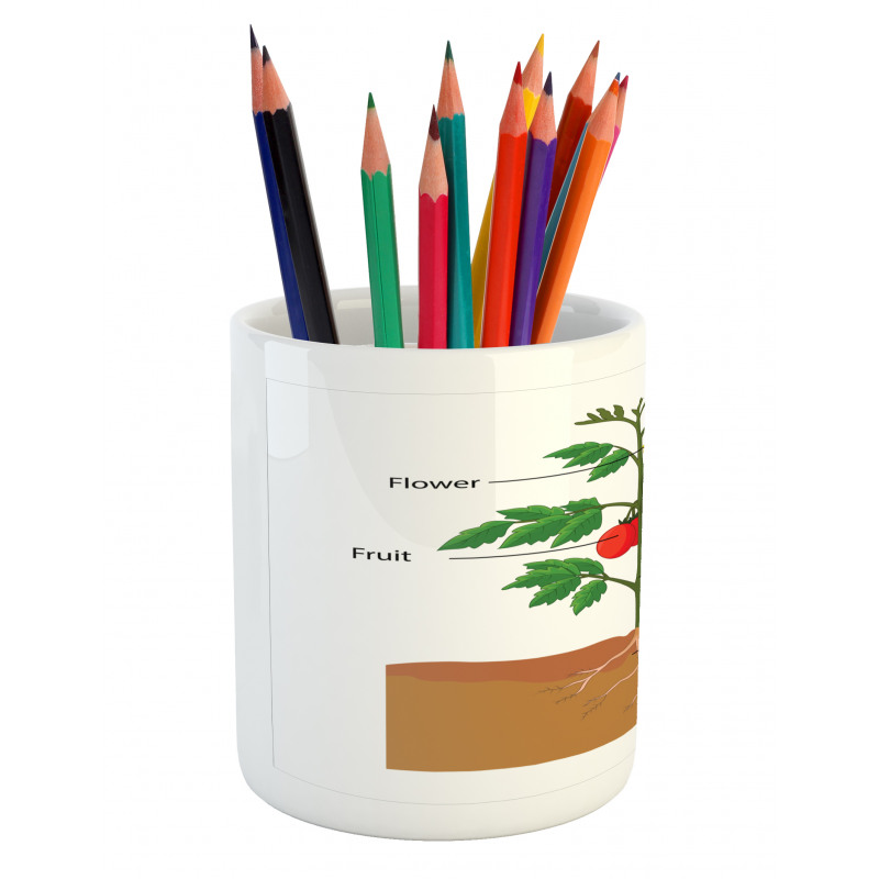 Parts of a Tomato Plant Pencil Pen Holder