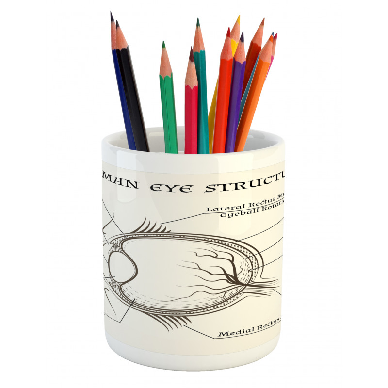 Structure of the Human Eye Pencil Pen Holder