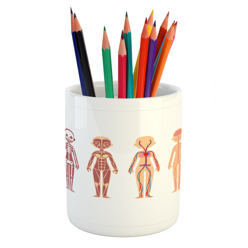 Female Body Anatomy Chart Pencil Pen Holder