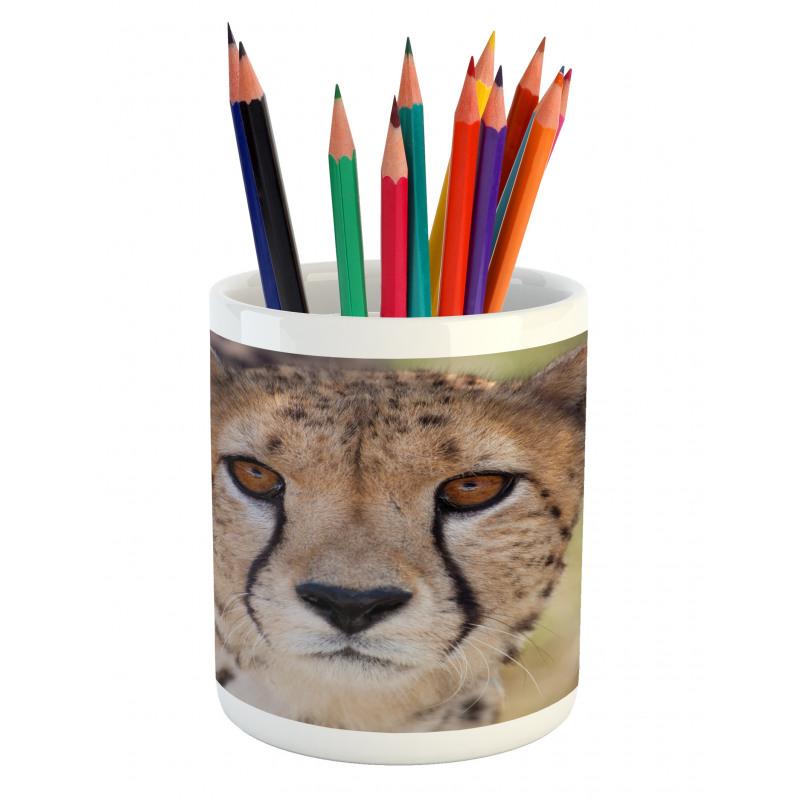 Close up Image of Cheetah Pencil Pen Holder
