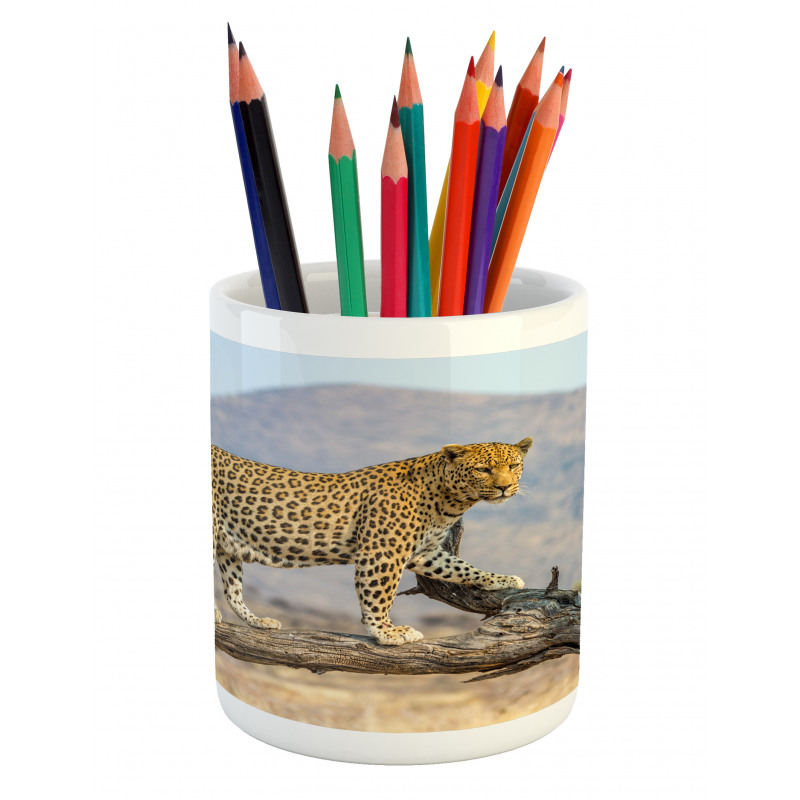 Blurred Background Fierce Pencil Pen Holder