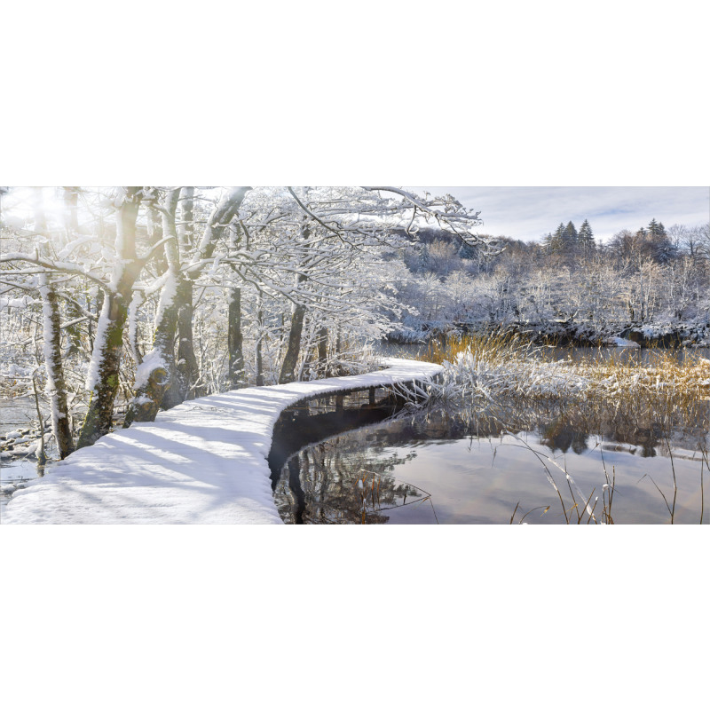 Snow Covered Path in Forest Pencil Pen Holder