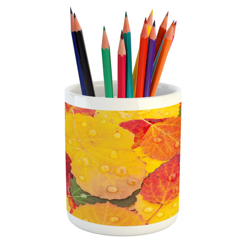 Close Shot Raindrops Pencil Pen Holder