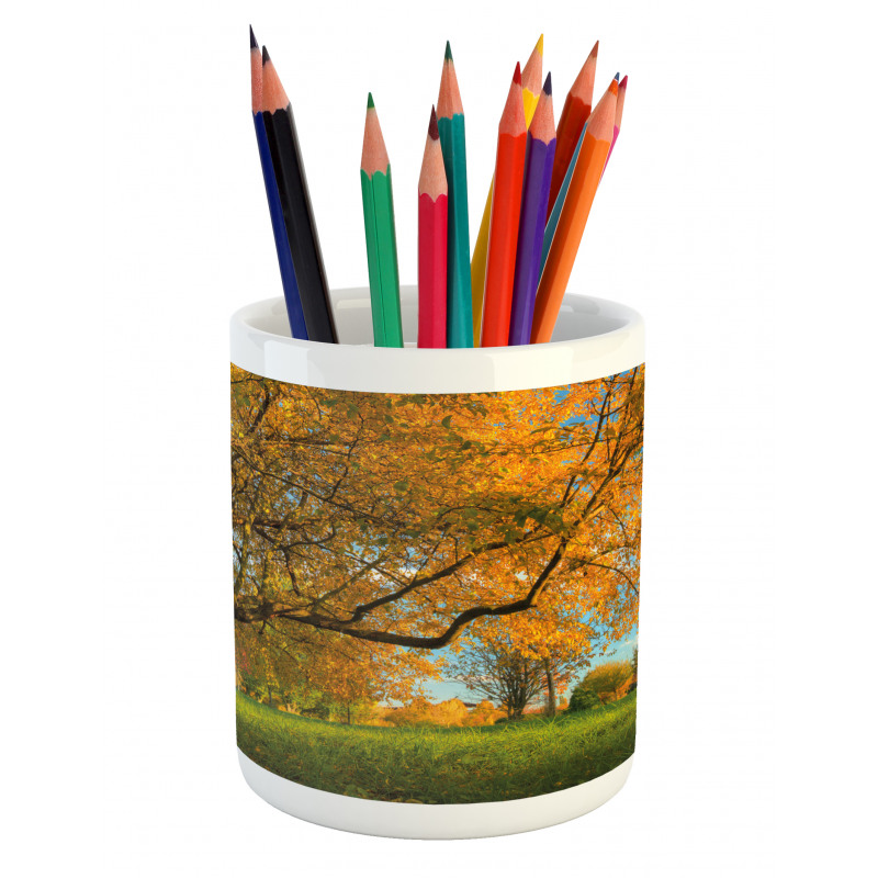 Tree Branches Blue Sky Pencil Pen Holder