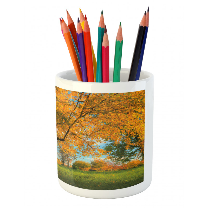 Tree Branches Blue Sky Pencil Pen Holder