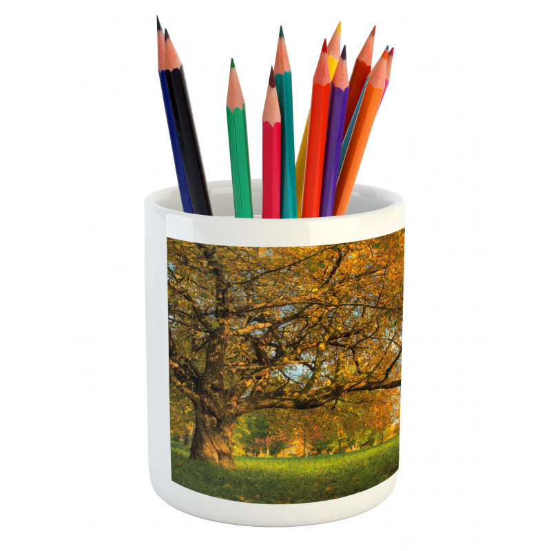 Tree Branches Blue Sky Pencil Pen Holder