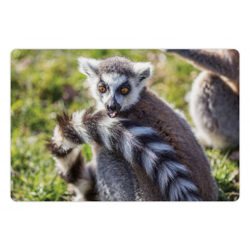 Ring Tailed Funny Expression Pet Mat