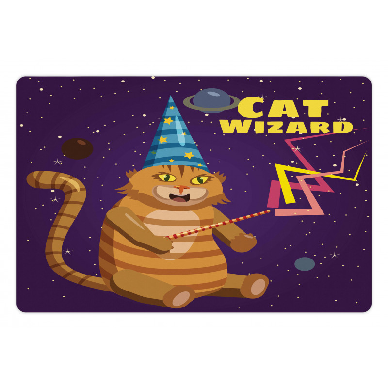 Cat Wizard Funny Cartoon Pet Mat