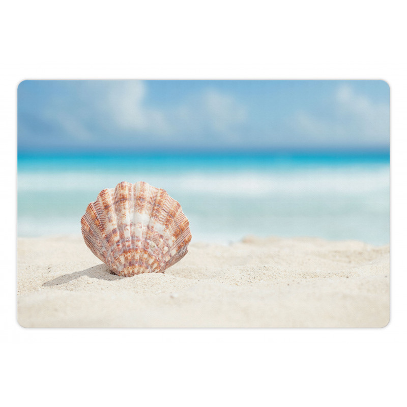 Sandy Exotic Beach Shell Pet Mat