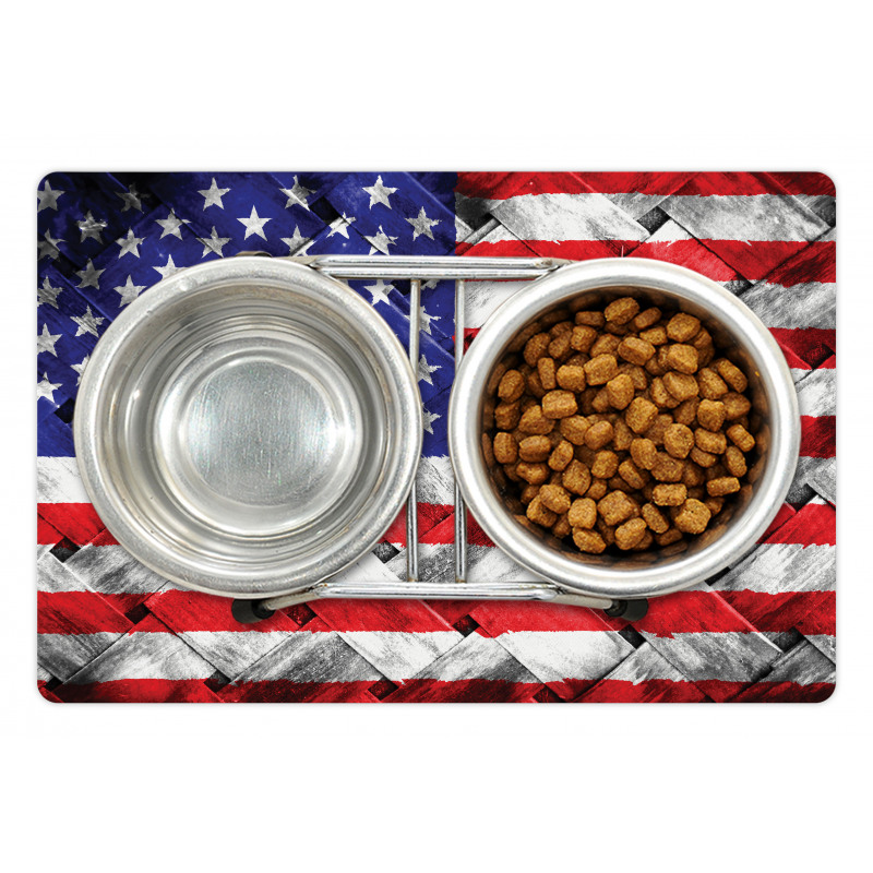 Fourth of July Day National Pet Mat