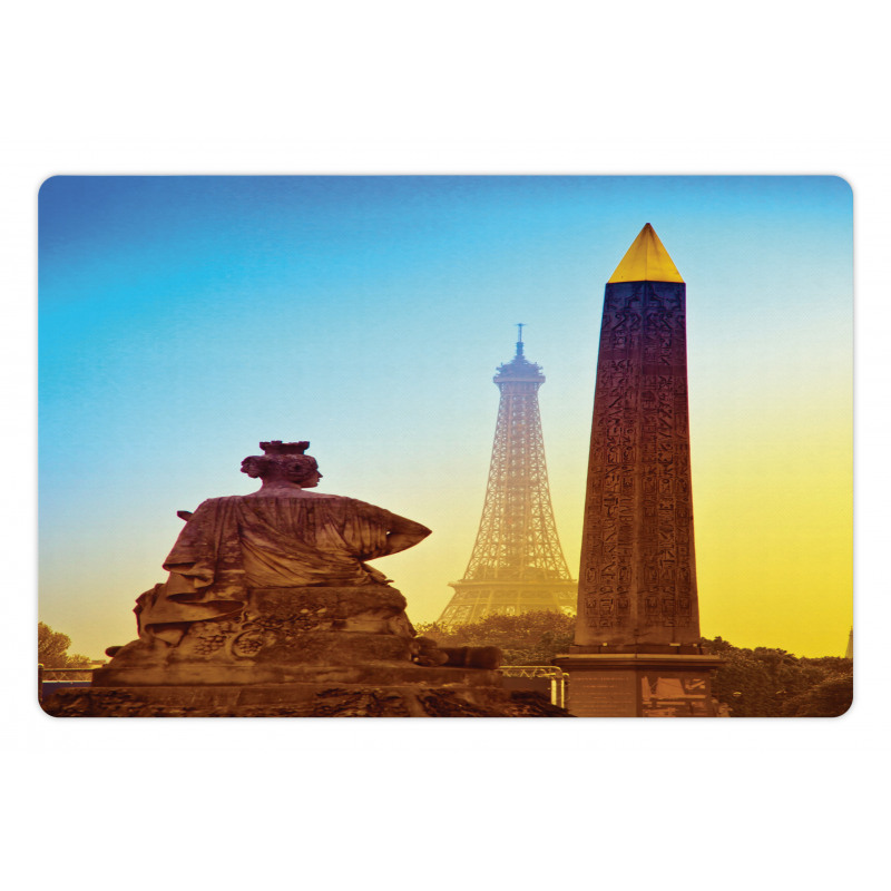 Eiffel Old Tower Photo Pet Mat