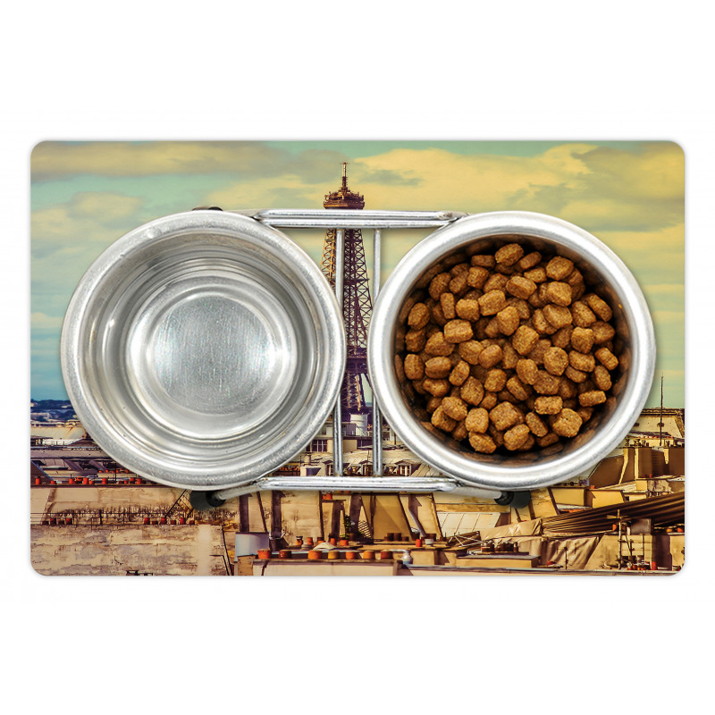 Paris Cityscape Pet Mat