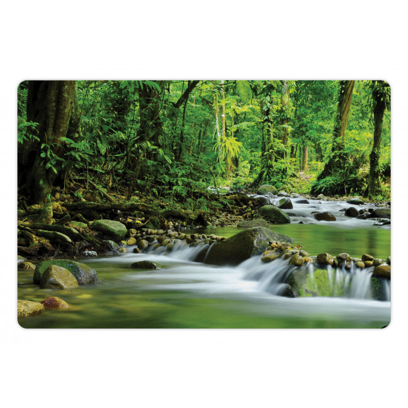 Tropic Mountain Stream Pet Mat