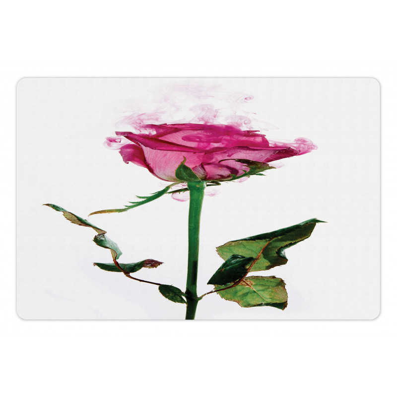 Single Flower Branch Pet Mat