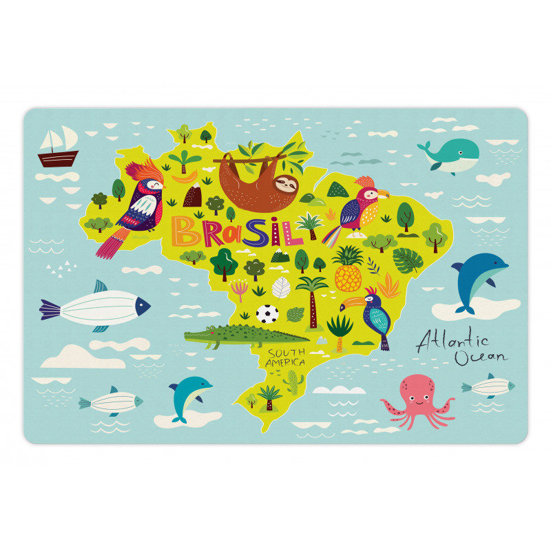 Brasil Map Symbolic Items Pet Mat