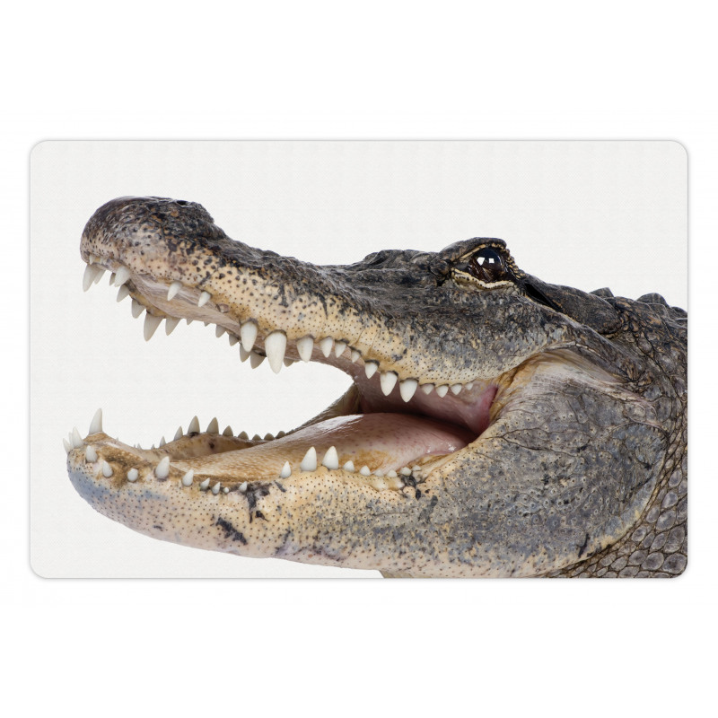 Wild American Alligator Pet Mat