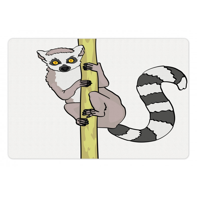 Tropical Ring Tailed Cartoon Pet Mat