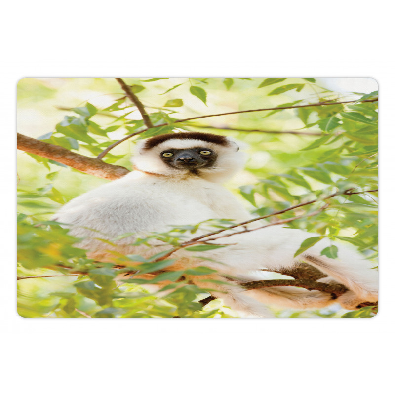 Wild Verreaux's Sifaka Photo Pet Mat