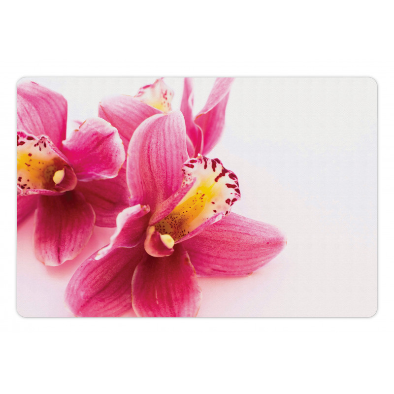 Close up Orchids View Pet Mat