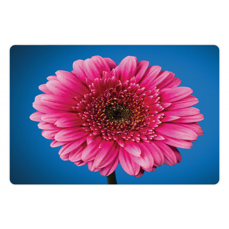 Gerbera Blossom Pet Mat