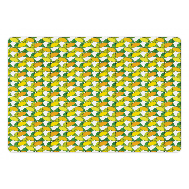 Vitamin C Citrus Drawing Pet Mat