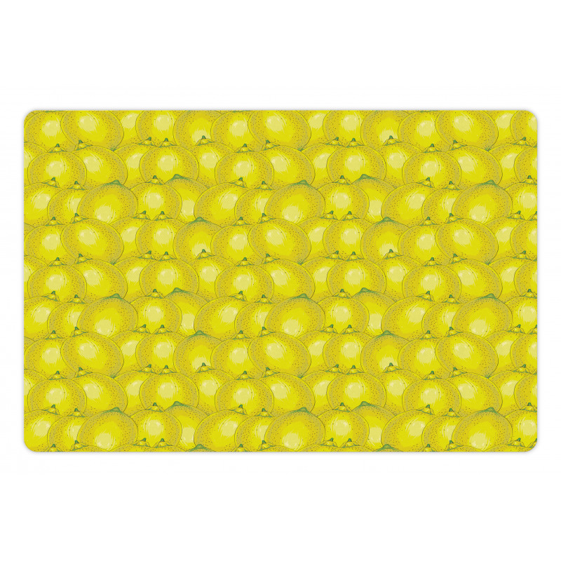 Ripe Citrus Vivid Drawing Pet Mat