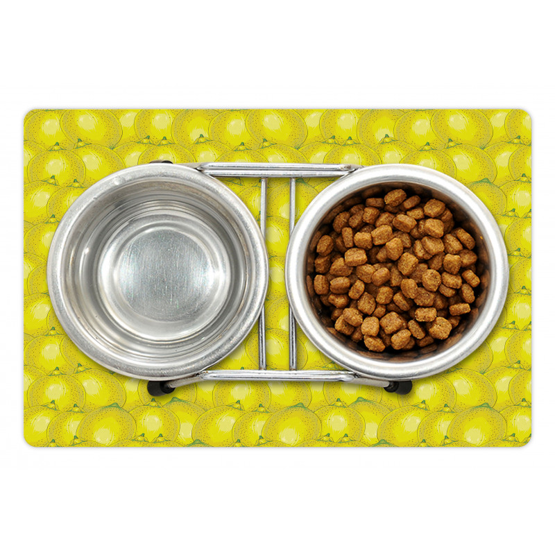 Ripe Citrus Vivid Drawing Pet Mat