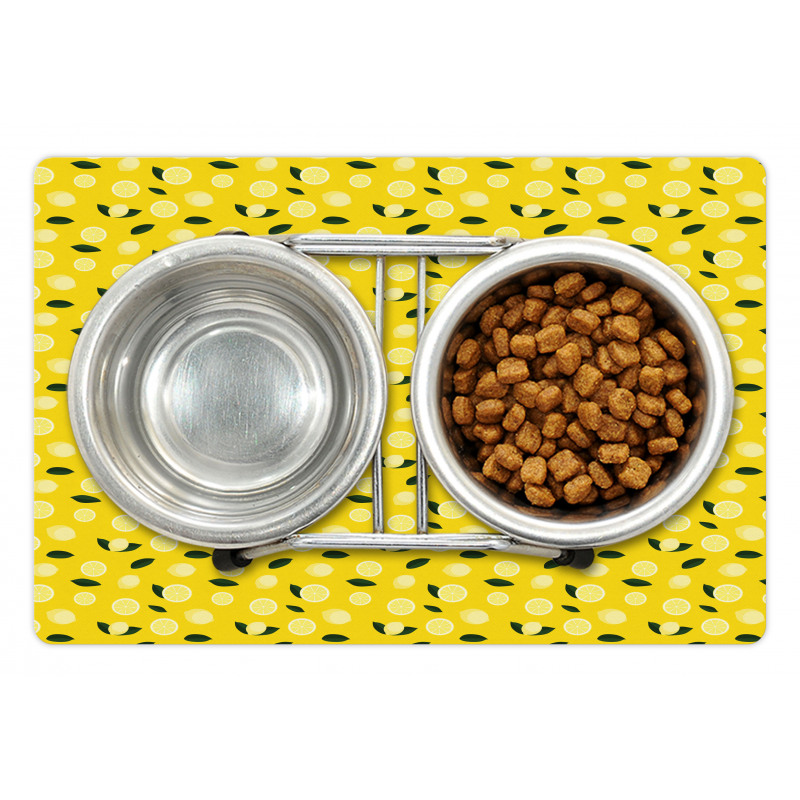 Fresh Citrus in Summer Tones Pet Mat