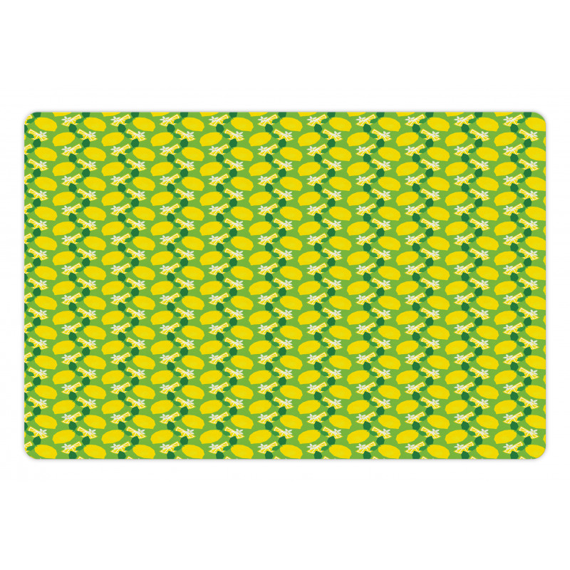 Citrus Fruits Vibrant Colors Pet Mat