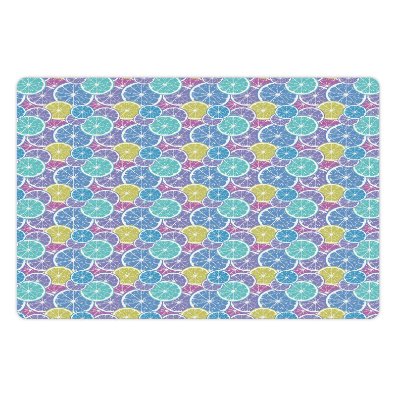 Abstract Colored Citrus Art Pet Mat