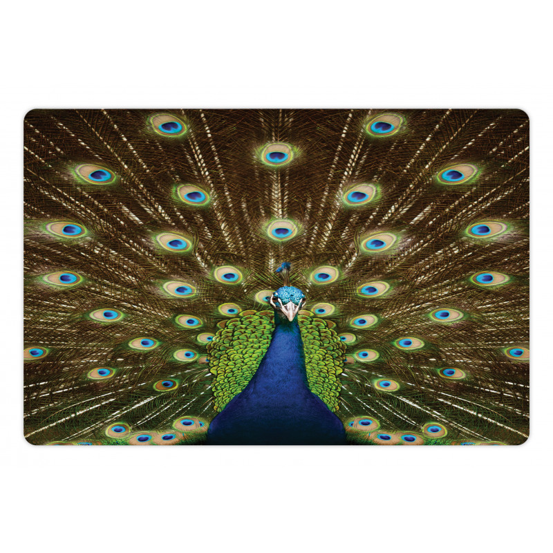 Peacock with Feathers Pet Mat