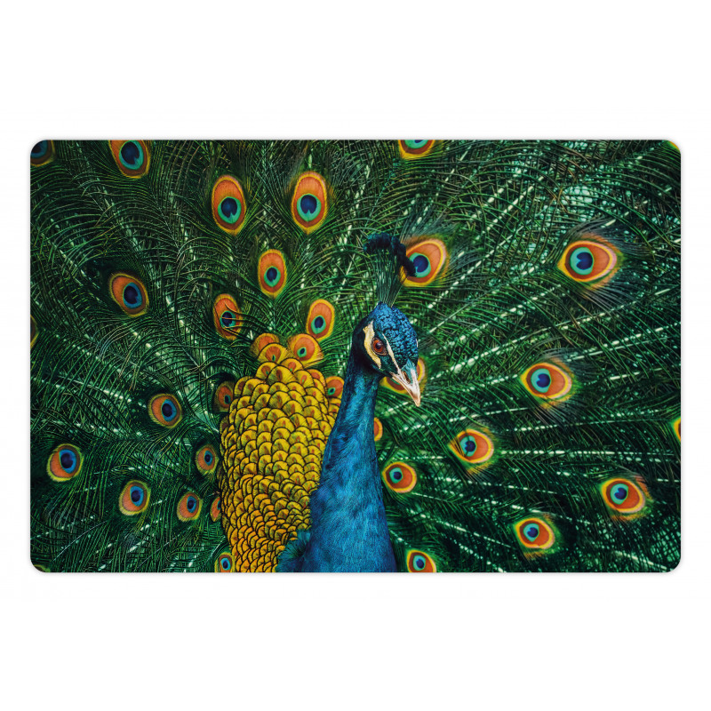 Portrait of the Peacock Pet Mat