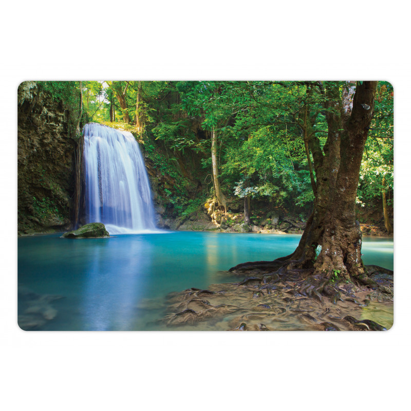 Asia Thailand Jungle Trees Pet Mat