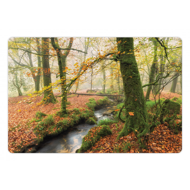 Misty Woods Cornwall Pet Mat