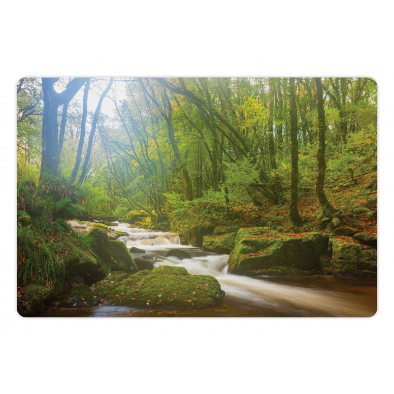 Forest at Golitha Falls Pet Mat