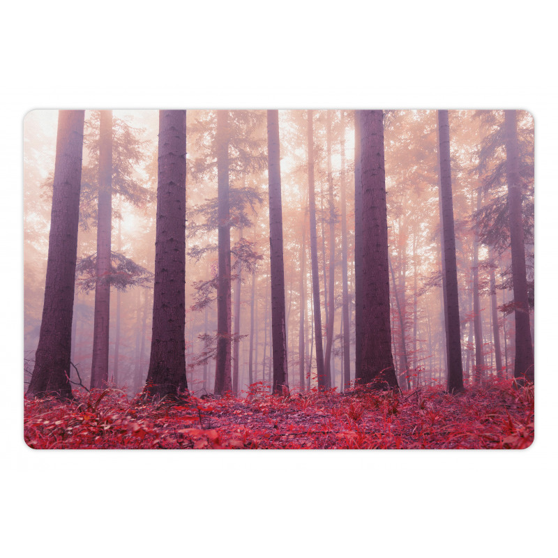 Trees Foggy Sunlight Pet Mat