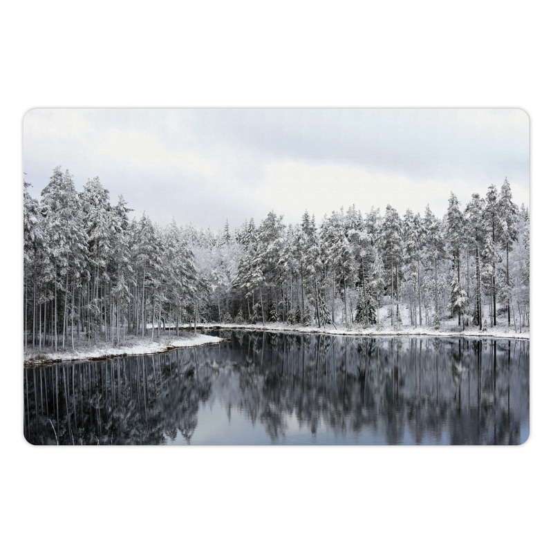 Trees in Cold Day Lake Pet Mat