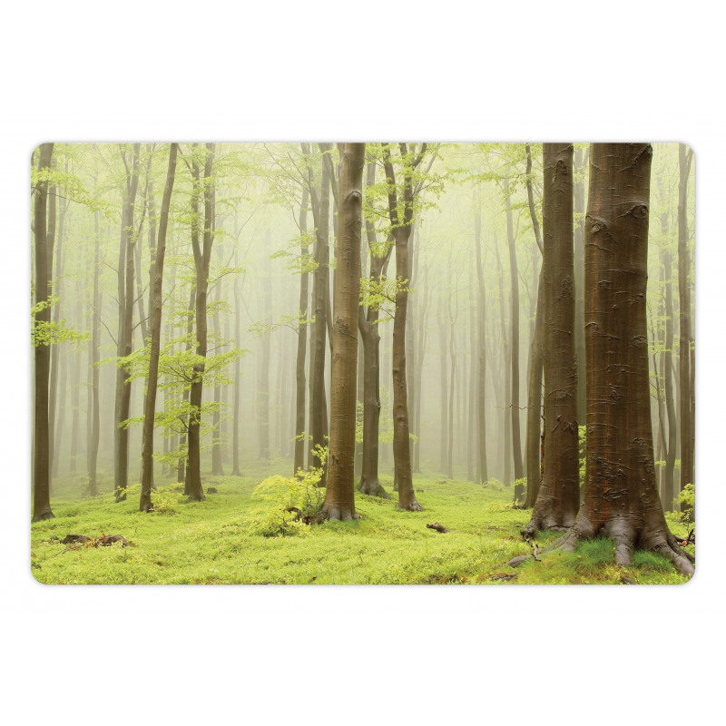 Misty Beech Forest Photo Pet Mat