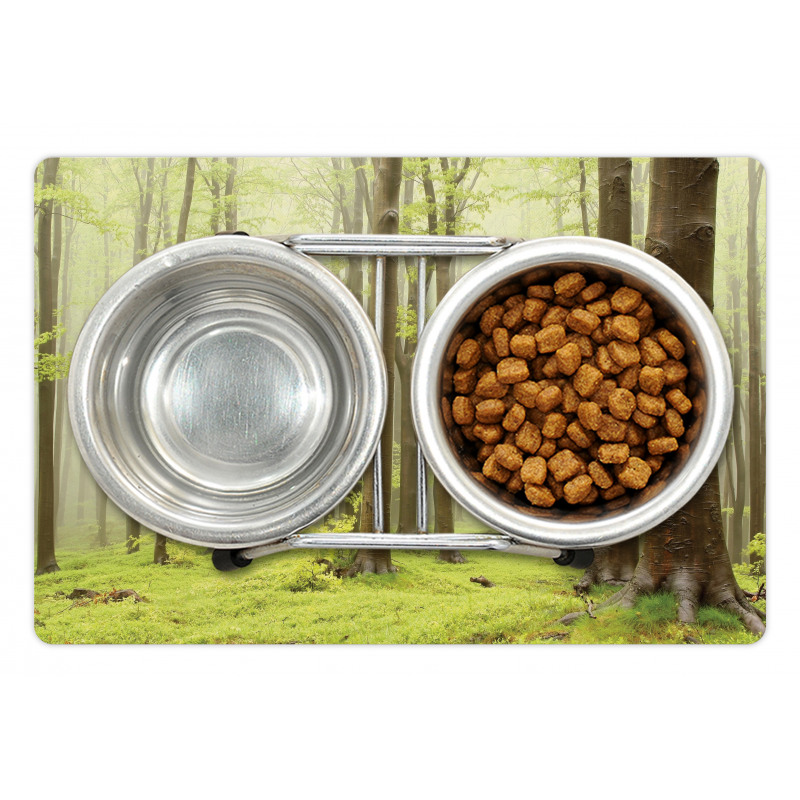 Misty Beech Forest Photo Pet Mat